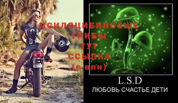 хмурый Надым
