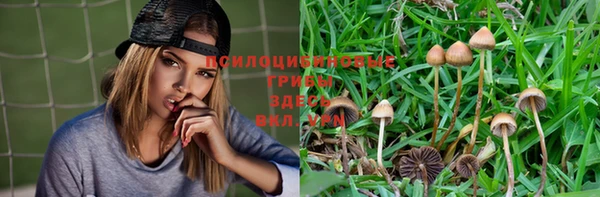 прущая мука Наволоки